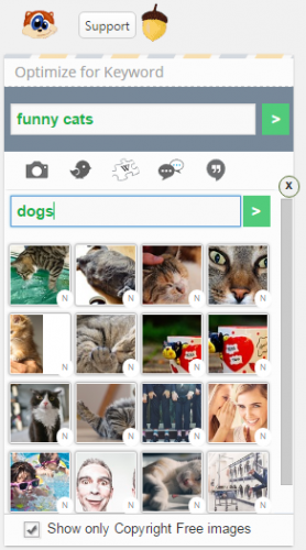 dogs pls