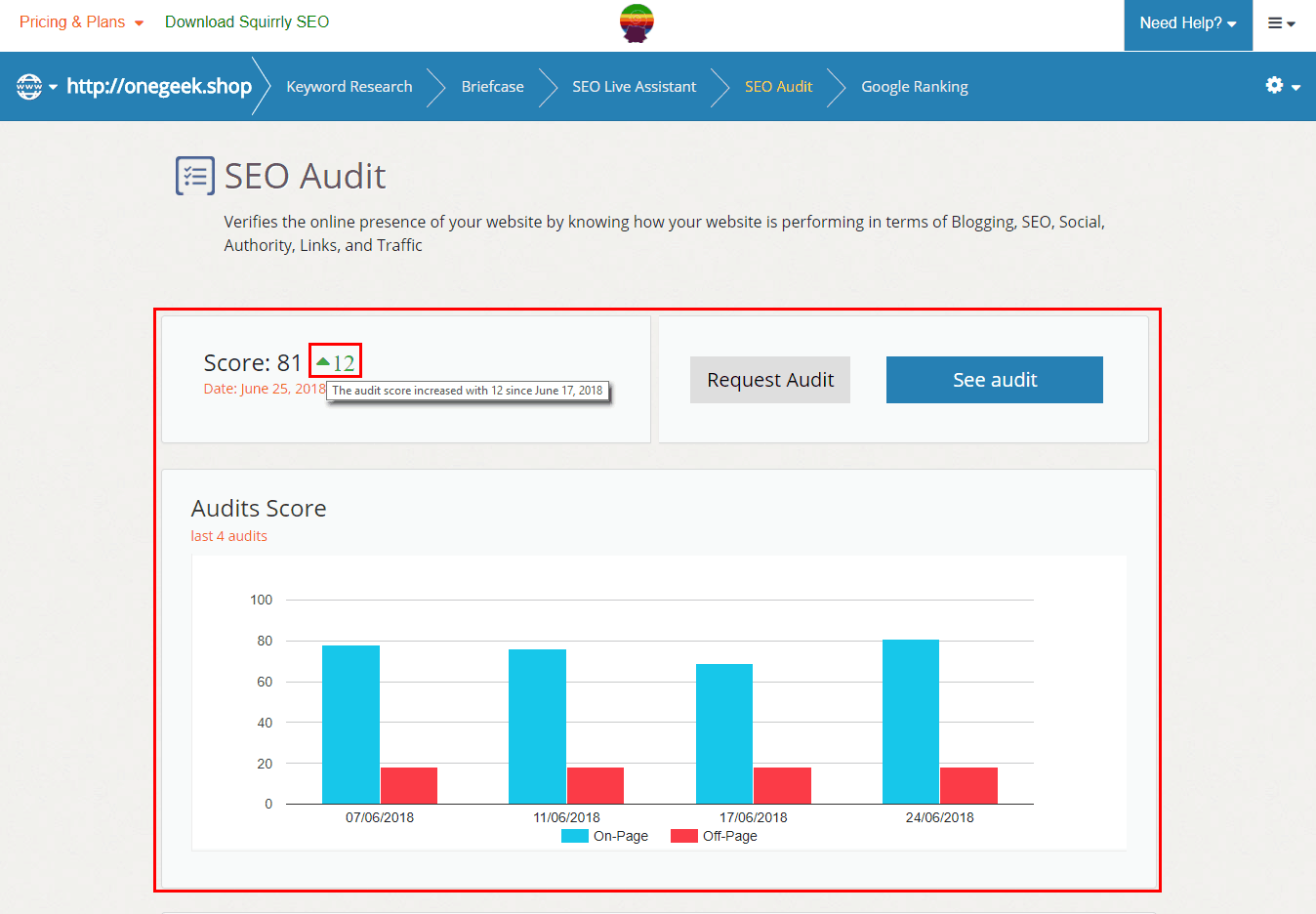 site audit score